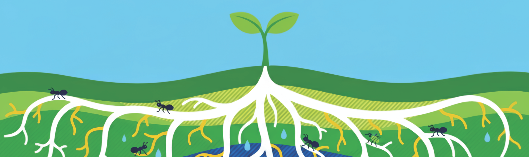 interconnected beginnings